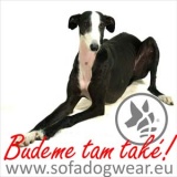 SOFA Dog Wear - The Spring meeting of adopted greyhounds 2014