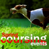 SOFA Dog Wear - 5x spring coursing events
